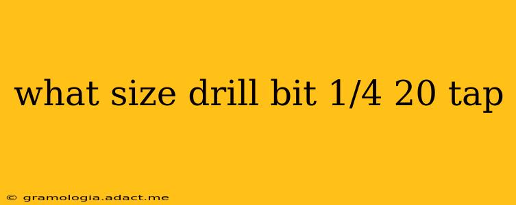 what size drill bit 1/4 20 tap
