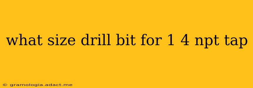 what size drill bit for 1 4 npt tap