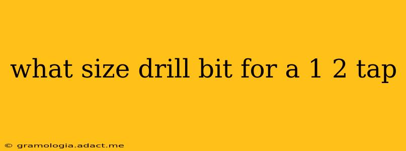 what size drill bit for a 1 2 tap