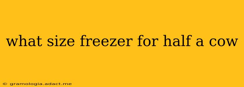 what size freezer for half a cow