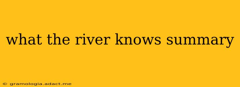 what the river knows summary