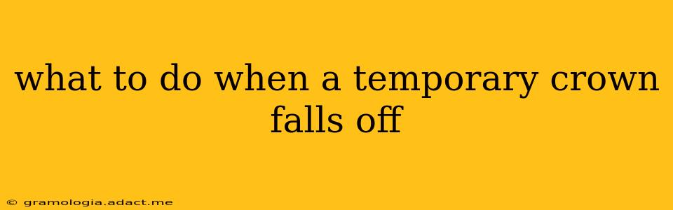 what to do when a temporary crown falls off