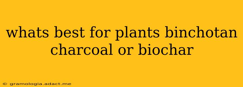 whats best for plants binchotan charcoal or biochar
