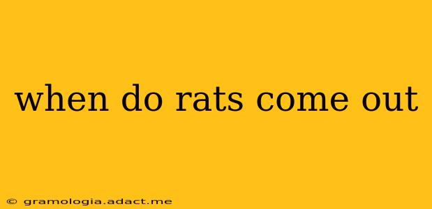 when do rats come out