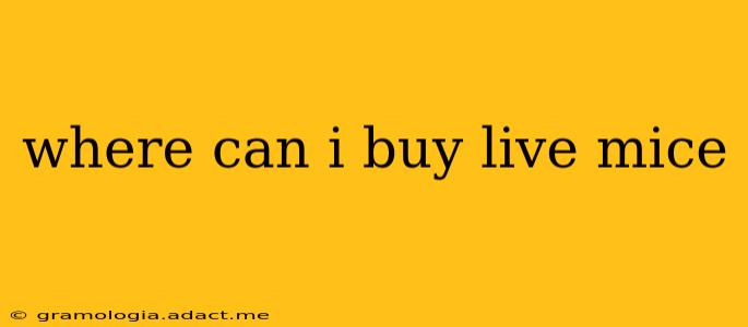 where can i buy live mice