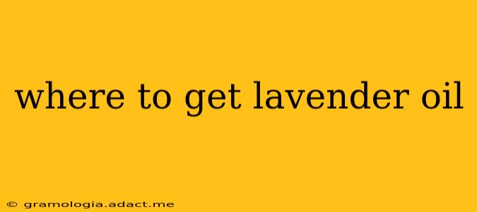 where to get lavender oil