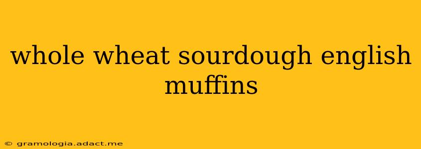 whole wheat sourdough english muffins