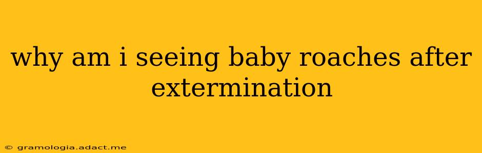 why am i seeing baby roaches after extermination