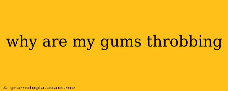 why are my gums throbbing