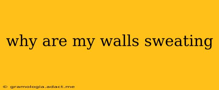 why are my walls sweating