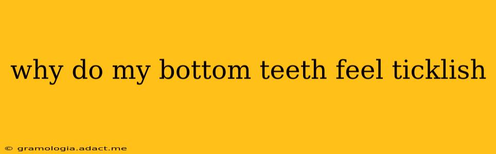 why do my bottom teeth feel ticklish