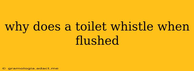 why does a toilet whistle when flushed