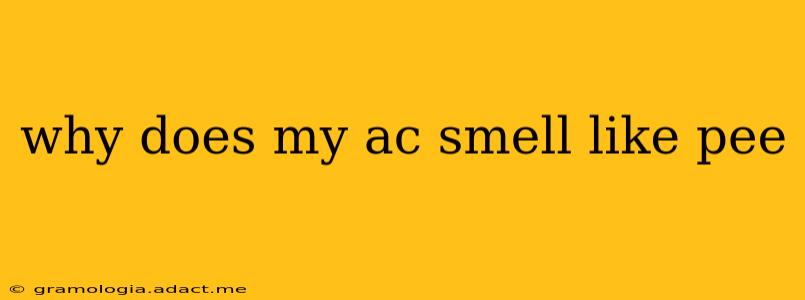 why does my ac smell like pee