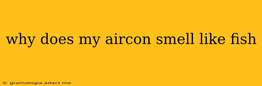 why does my aircon smell like fish
