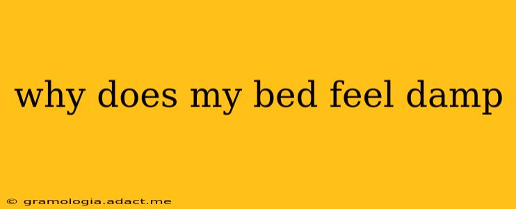 why does my bed feel damp