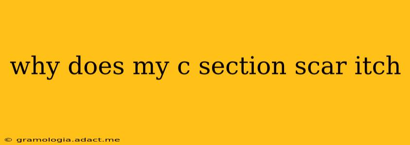 why does my c section scar itch