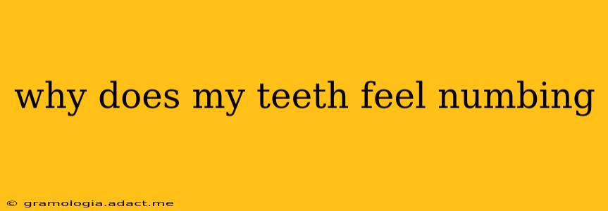 why does my teeth feel numbing