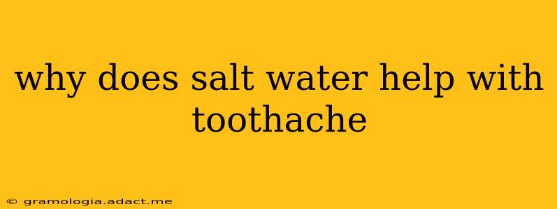 why does salt water help with toothache