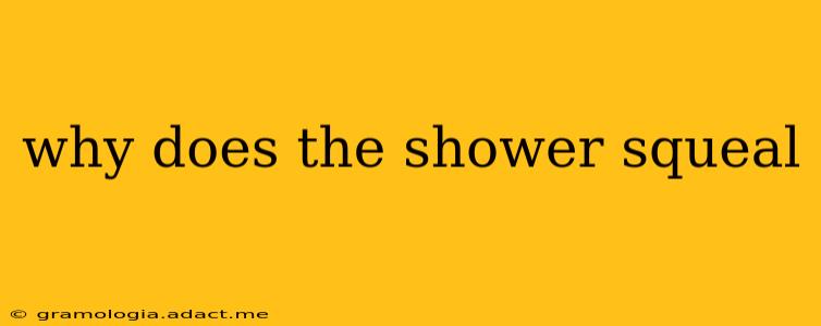 why does the shower squeal