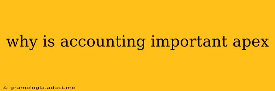 why is accounting important apex