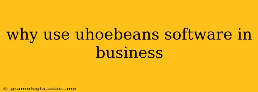 why use uhoebeans software in business