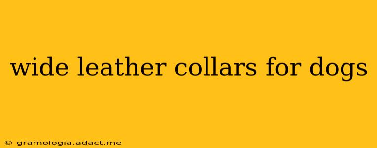 wide leather collars for dogs