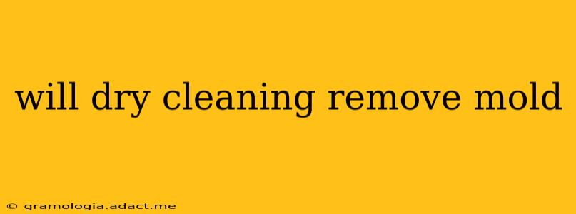 will dry cleaning remove mold