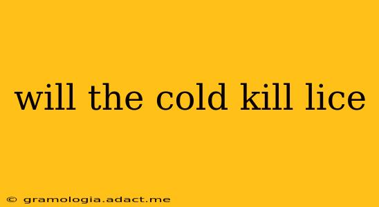 will the cold kill lice