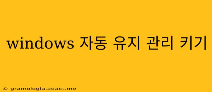 windows 자동 유지 관리 키기