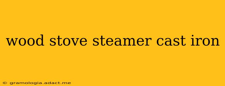 wood stove steamer cast iron