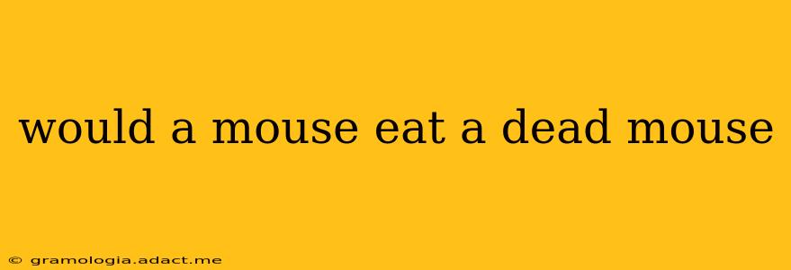 would a mouse eat a dead mouse